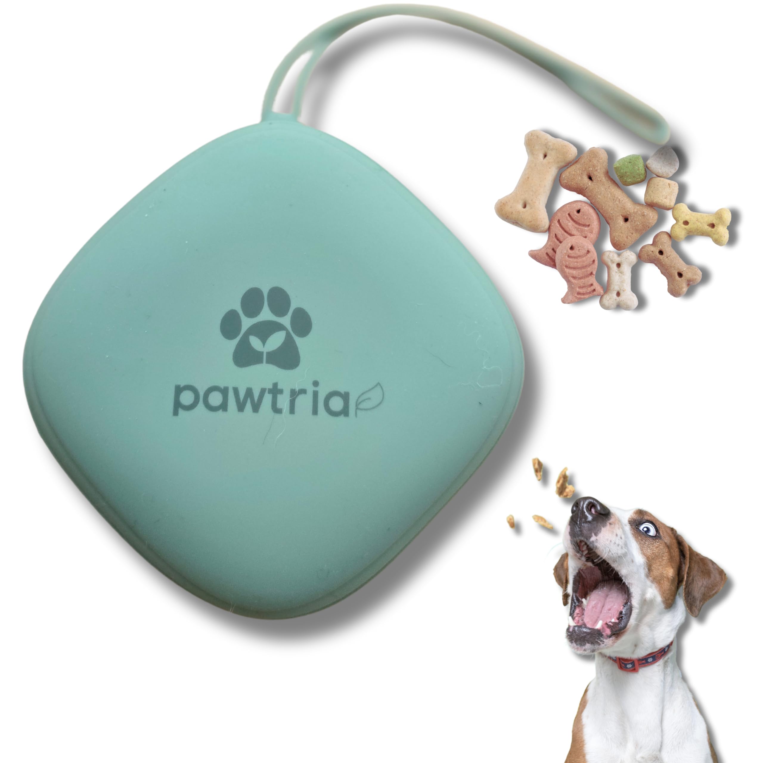 Silicone dog treat pouch clipped to a leash for hands-free training