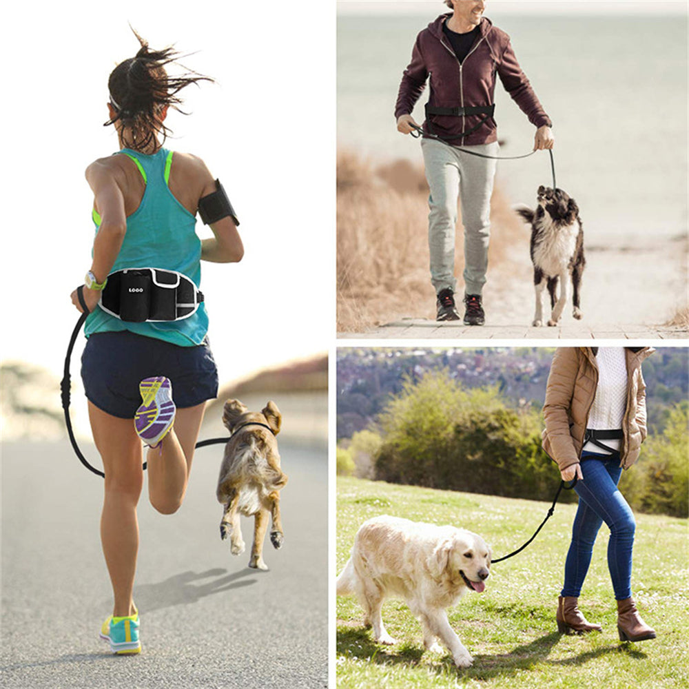Bungee section of the hands-free dog training leash that absorbs pulling